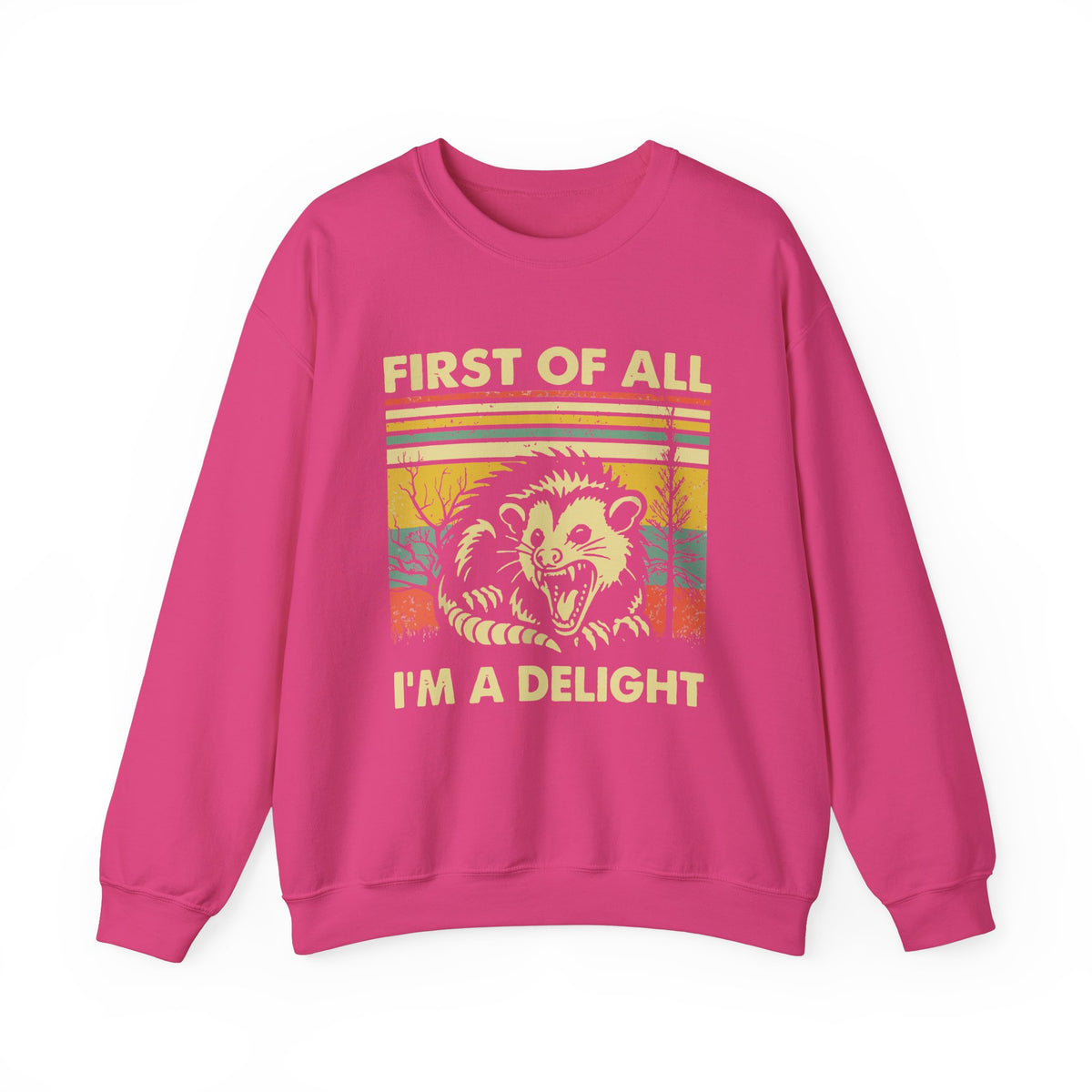 First Of All I'm A Delight Sweatshirt - Funny Angry Possum Sarcastic Meme Gift for Possum Lovers