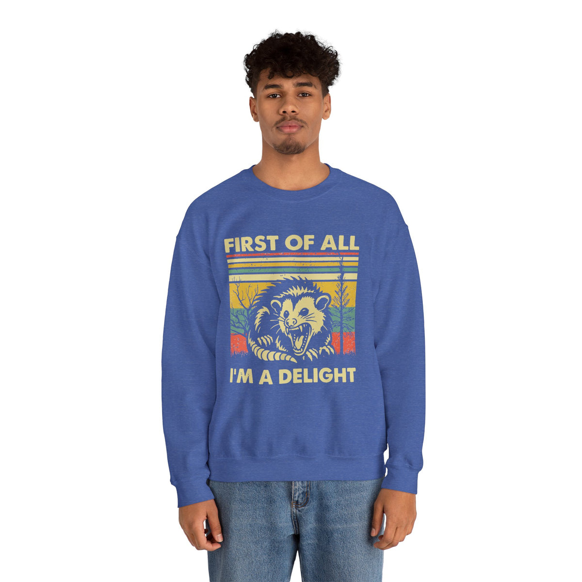 First Of All I'm A Delight Sweatshirt - Funny Angry Possum Sarcastic Meme Gift for Possum Lovers