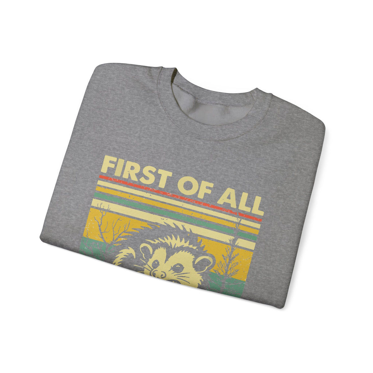 First Of All I'm A Delight Sweatshirt - Funny Angry Possum Sarcastic Meme Gift for Possum Lovers