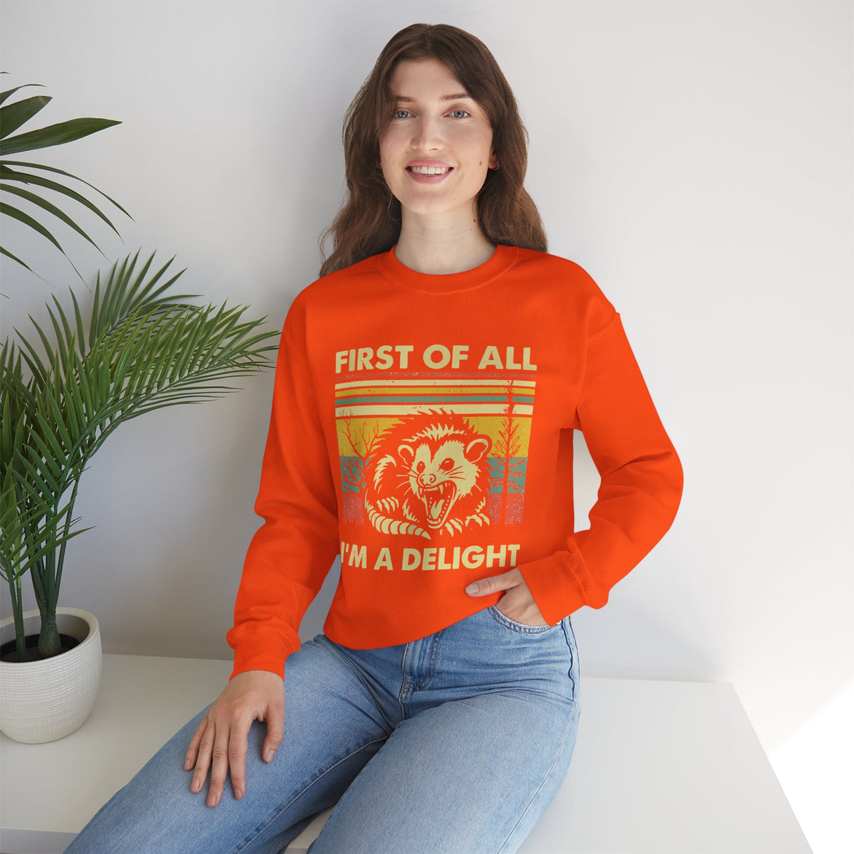 First Of All I'm A Delight Sweatshirt - Funny Angry Possum Sarcastic Meme Gift for Possum Lovers